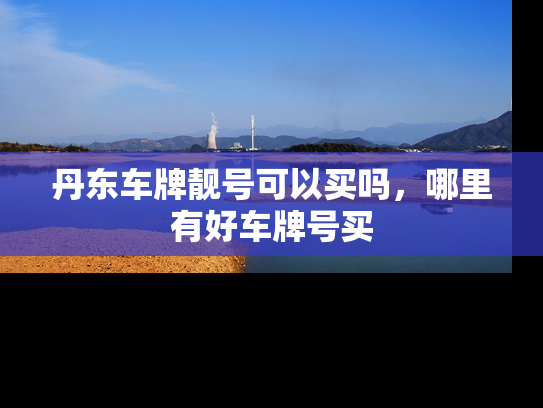 丹东车牌靓号可以买吗，哪里有好车牌号买