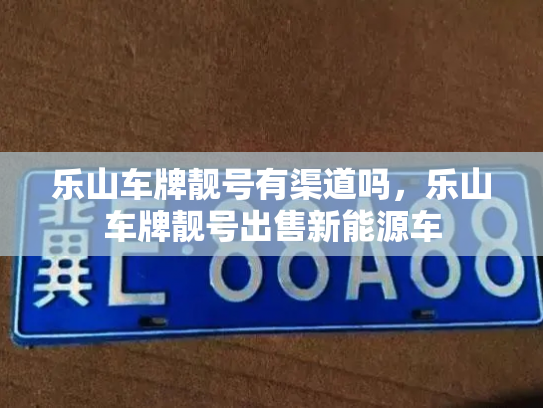 乐山车牌靓号有渠道吗，乐山车牌靓号出售新能源车-第2张图片-七号汽车选号