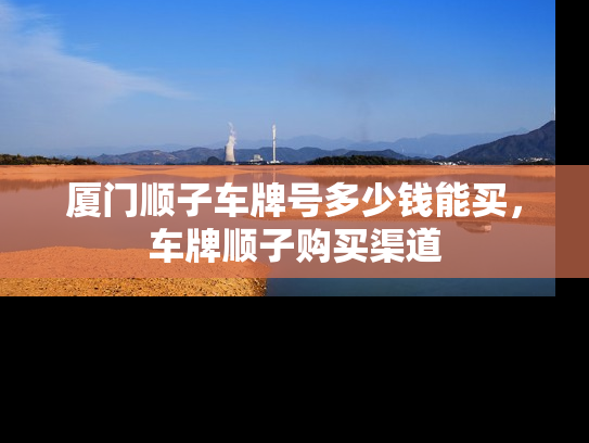 厦门顺子车牌号多少钱能买，车牌顺子购买渠道