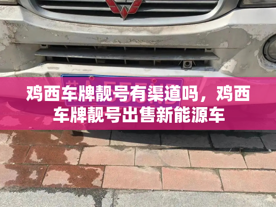 鸡西车牌靓号有渠道吗,鸡西车牌靓号出售新能源车-第3张图片-七号汽车选号 鸡西车牌靓号有渠道吗,鸡西车牌靓号出售新能源车-第3张图片-七号汽车选号