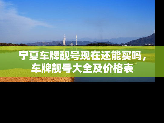 宁夏车牌靓号现在还能买吗，车牌靓号大全及价格表