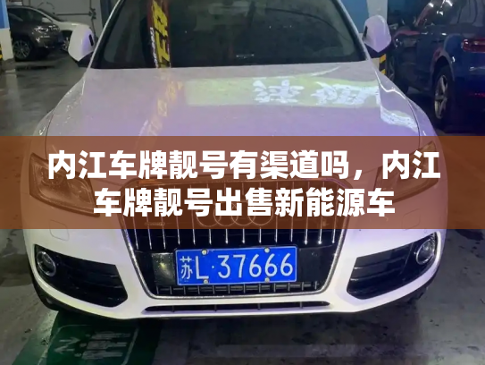 内江车牌靓号有渠道吗,内江车牌靓号出售新能源车-第3张图片-七号汽车选号 内江车牌靓号有渠道吗,内江车牌靓号出售新能源车-第3张图片-七号汽车选号