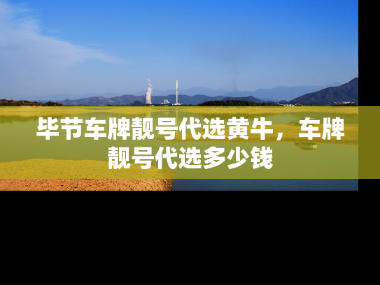 毕节车牌靓号代选黄牛，车牌靓号代选多少钱