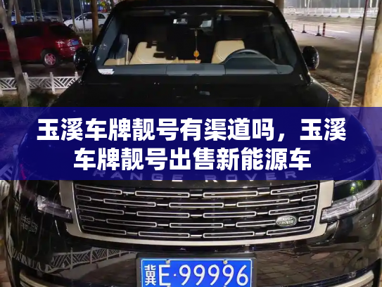 玉溪车牌靓号有渠道吗,玉溪车牌靓号出售新能源车-第3张图片-七号汽车选号 玉溪车牌靓号有渠道吗,玉溪车牌靓号出售新能源车-第3张图片-七号汽车选号