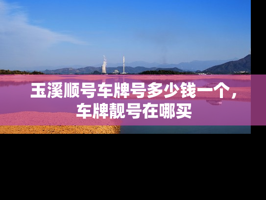 玉溪顺号车牌号多少钱一个，车牌靓号在哪买