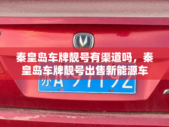 秦皇岛车牌靓号有渠道吗，秦皇岛车牌靓号出售新能源车-第2张图片-七号汽车选号