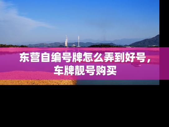东营自编号牌怎么弄到好号，车牌靓号购买