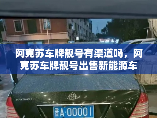 阿克苏车牌靓号有渠道吗,阿克苏车牌靓号出售新能源车-第2张图片-七号汽车选号 阿克苏车牌靓号有渠道吗,阿克苏车牌靓号出售新能源车-第2张图片-七号汽车选号