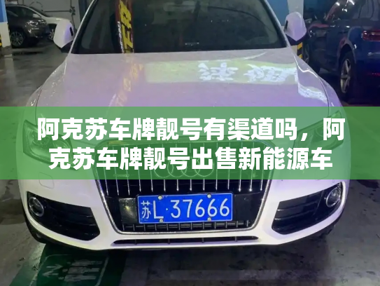 阿克苏车牌靓号有渠道吗,阿克苏车牌靓号出售新能源车-第3张图片-七号汽车选号 阿克苏车牌靓号有渠道吗,阿克苏车牌靓号出售新能源车-第3张图片-七号汽车选号