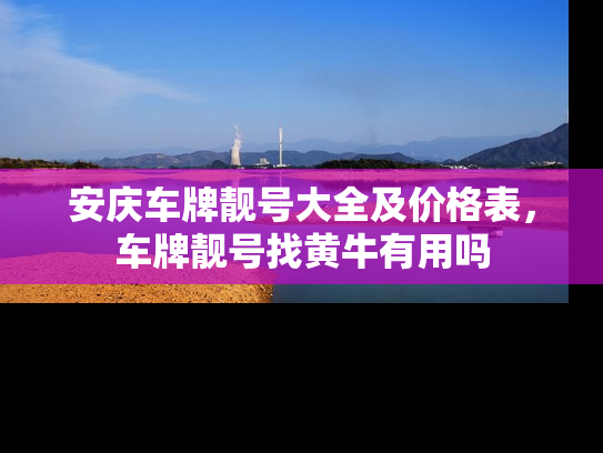安庆车牌靓号大全及价格表，车牌靓号找黄牛有用吗