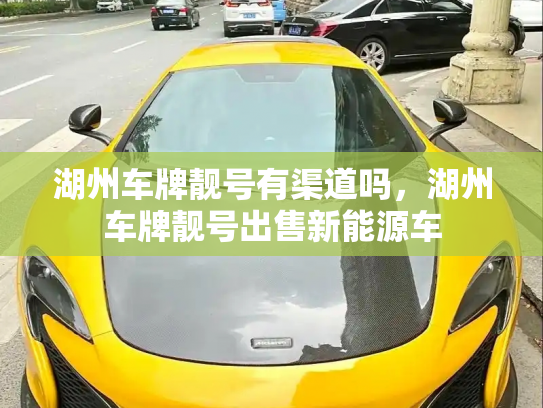 湖州车牌靓号有渠道吗，湖州车牌靓号出售新能源车-第2张图片-七号汽车选号