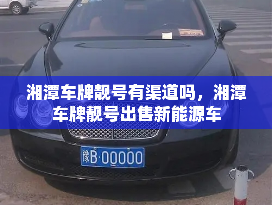 湘潭车牌靓号有渠道吗，湘潭车牌靓号出售新能源车-第3张图片-七号汽车选号