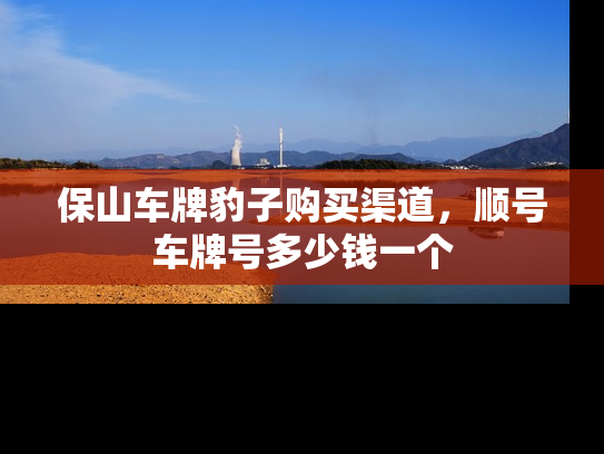 保山车牌豹子购买渠道，顺号车牌号多少钱一个