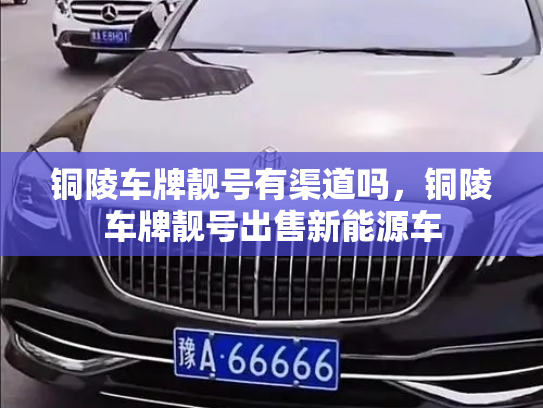 铜陵车牌靓号有渠道吗,铜陵车牌靓号出售新能源车-第2张图片-七号汽车选号 铜陵车牌靓号有渠道吗,铜陵车牌靓号出售新能源车-第2张图片-七号汽车选号