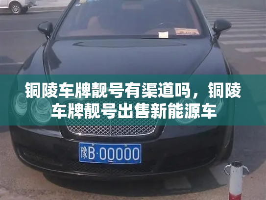 铜陵车牌靓号有渠道吗,铜陵车牌靓号出售新能源车-第3张图片-七号汽车选号 铜陵车牌靓号有渠道吗,铜陵车牌靓号出售新能源车-第3张图片-七号汽车选号