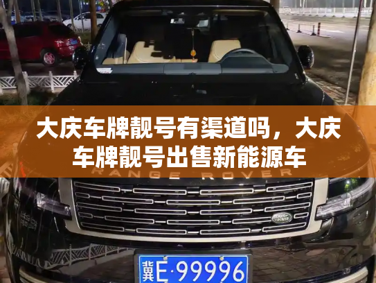 大庆车牌靓号有渠道吗，大庆车牌靓号出售新能源车-第2张图片-七号汽车选号