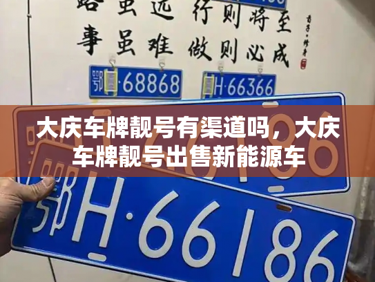 大庆车牌靓号有渠道吗，大庆车牌靓号出售新能源车-第3张图片-七号汽车选号