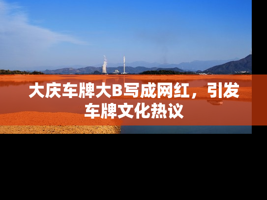 大庆车牌大B写成网红，引发车牌文化热议