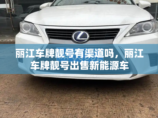 丽江车牌靓号有渠道吗,丽江车牌靓号出售新能源车-第2张图片-七号汽车选号 丽江车牌靓号有渠道吗,丽江车牌靓号出售新能源车-第2张图片-七号汽车选号