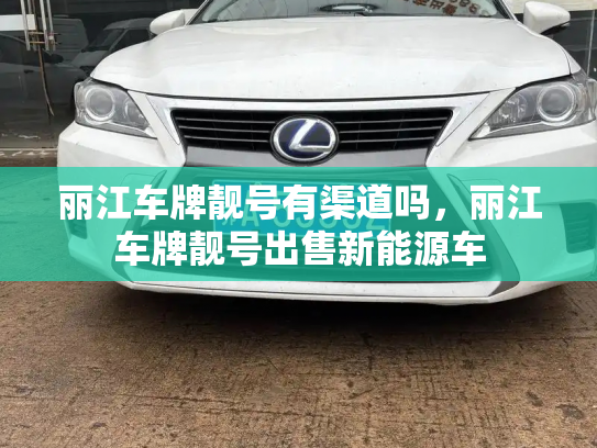 丽江车牌靓号有渠道吗,丽江车牌靓号出售新能源车-第3张图片-七号汽车选号 丽江车牌靓号有渠道吗,丽江车牌靓号出售新能源车-第3张图片-七号汽车选号