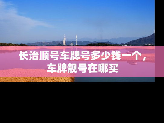 长治顺号车牌号多少钱一个，车牌靓号在哪买