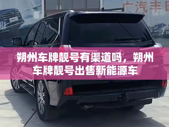 朔州车牌靓号有渠道吗，朔州车牌靓号出售新能源车-第2张图片-七号汽车选号