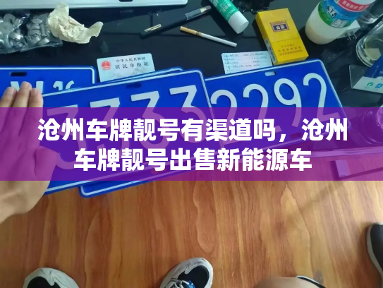 沧州车牌靓号有渠道吗,沧州车牌靓号出售新能源车-第2张图片-七号汽车选号 沧州车牌靓号有渠道吗,沧州车牌靓号出售新能源车-第2张图片-七号汽车选号