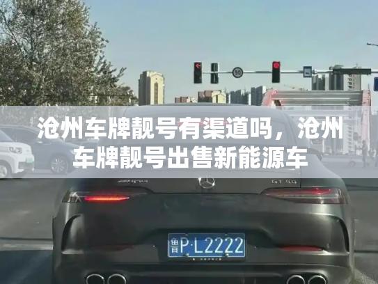 沧州车牌靓号有渠道吗,沧州车牌靓号出售新能源车-第3张图片-七号汽车选号 沧州车牌靓号有渠道吗,沧州车牌靓号出售新能源车-第3张图片-七号汽车选号