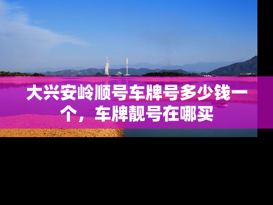大兴安岭顺号车牌号多少钱一个，车牌靓号在哪买
