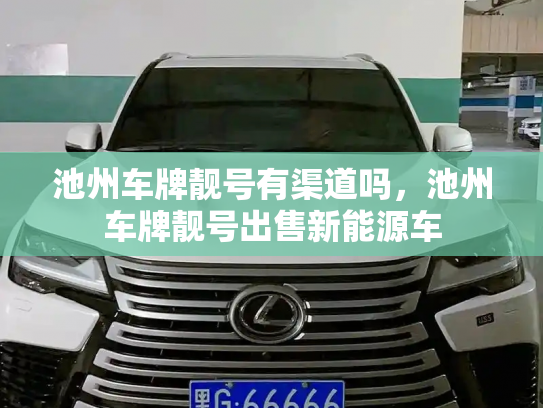池州车牌靓号有渠道吗，池州车牌靓号出售新能源车-第2张图片-七号汽车选号