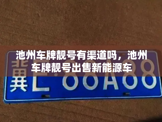池州车牌靓号有渠道吗，池州车牌靓号出售新能源车-第3张图片-七号汽车选号
