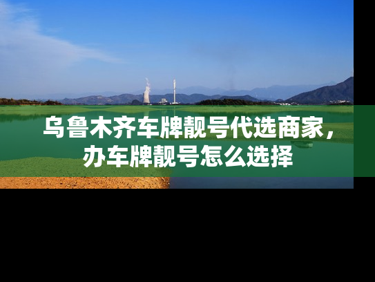 乌鲁木齐车牌靓号代选商家，办车牌靓号怎么选择