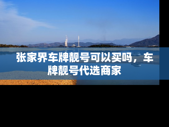 张家界车牌靓号可以买吗，车牌靓号代选商家