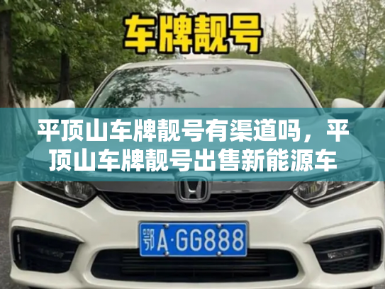 平顶山车牌靓号有渠道吗,平顶山车牌靓号出售新能源车-第3张图片-七号汽车选号 平顶山车牌靓号有渠道吗,平顶山车牌靓号出售新能源车-第3张图片-七号汽车选号