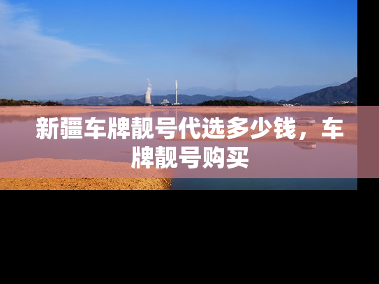 新疆车牌靓号代选多少钱，车牌靓号购买