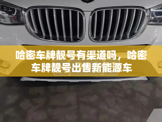 哈密车牌靓号有渠道吗，哈密车牌靓号出售新能源车-第2张图片-七号汽车选号