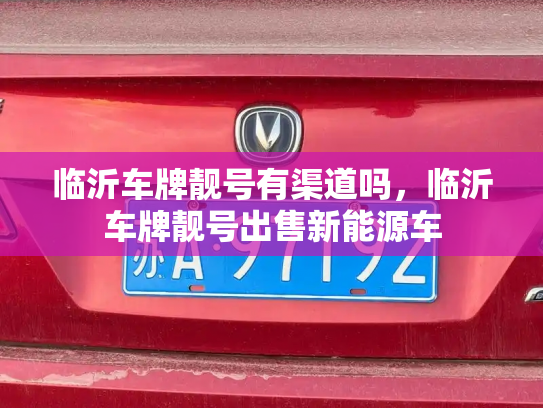 临沂车牌靓号有渠道吗,临沂车牌靓号出售新能源车-第3张图片-七号汽车选号 临沂车牌靓号有渠道吗,临沂车牌靓号出售新能源车-第3张图片-七号汽车选号