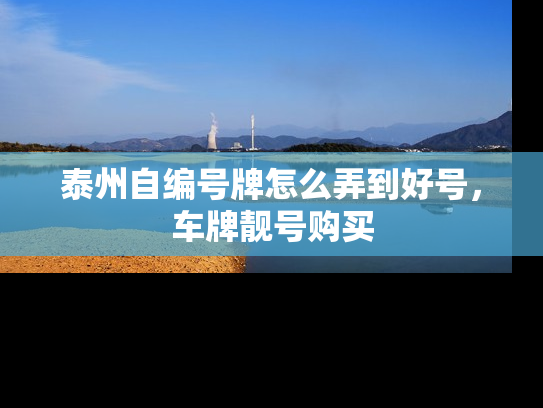 泰州自编号牌怎么弄到好号，车牌靓号购买
