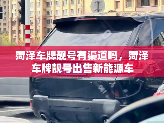 菏泽车牌靓号有渠道吗,菏泽车牌靓号出售新能源车-第3张图片-七号汽车选号 菏泽车牌靓号有渠道吗,菏泽车牌靓号出售新能源车-第3张图片-七号汽车选号