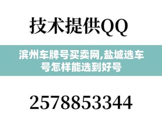 滨州车牌号买卖网,盐城选车号怎样能选到好号