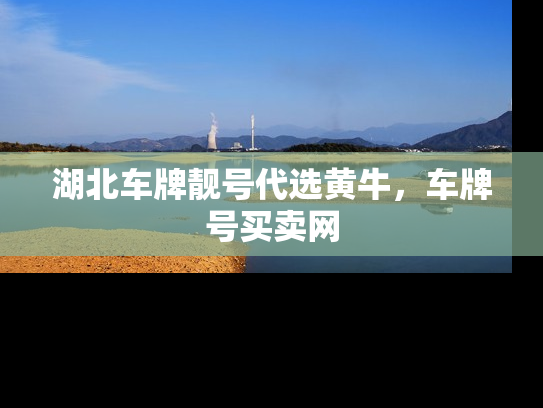湖北车牌靓号代选黄牛，车牌号买卖网