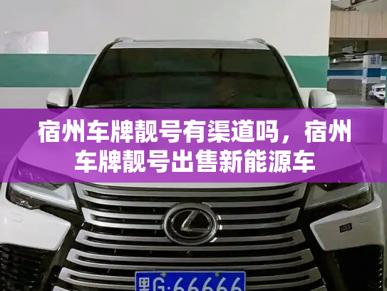 宿州车牌靓号有渠道吗，宿州车牌靓号出售新能源车-第2张图片-七号汽车选号