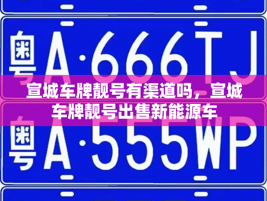 宣城车牌靓号有渠道吗，宣城车牌靓号出售新能源车-第2张图片-七号汽车选号