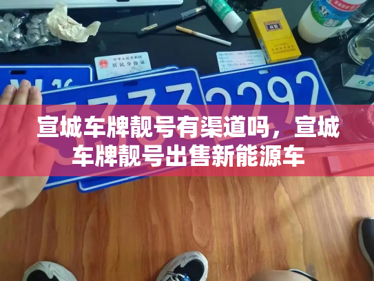 宣城车牌靓号有渠道吗，宣城车牌靓号出售新能源车-第3张图片-七号汽车选号