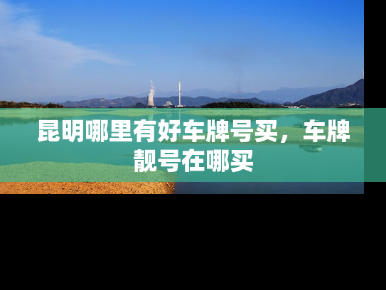 昆明哪里有好车牌号买，车牌靓号在哪买
