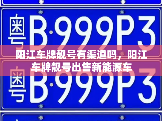 阳江车牌靓号有渠道吗,阳江车牌靓号出售新能源车-第3张图片-七号汽车选号 阳江车牌靓号有渠道吗,阳江车牌靓号出售新能源车-第3张图片-七号汽车选号