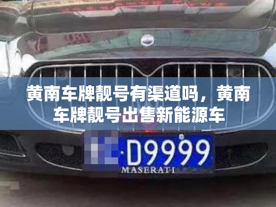 黄南车牌靓号有渠道吗，黄南车牌靓号出售新能源车-第2张图片-七号汽车选号