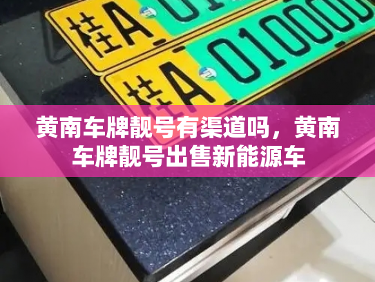 黄南车牌靓号有渠道吗，黄南车牌靓号出售新能源车-第3张图片-七号汽车选号