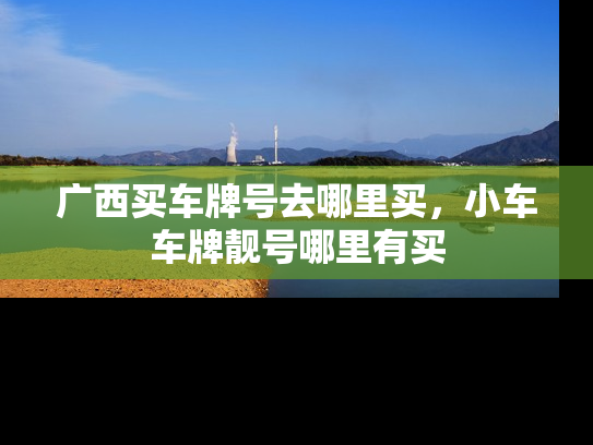 广西买车牌号去哪里买，小车车牌靓号哪里有买