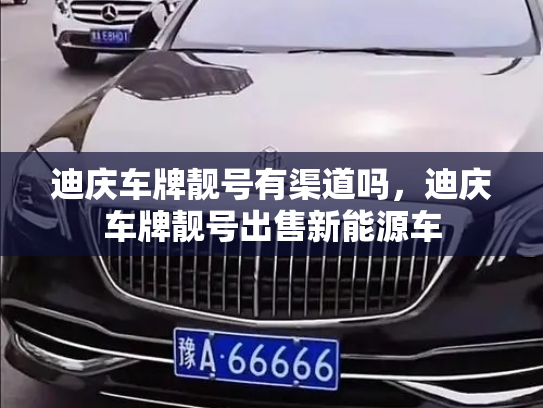 迪庆车牌靓号有渠道吗,迪庆车牌靓号出售新能源车-第3张图片-七号汽车选号 迪庆车牌靓号有渠道吗,迪庆车牌靓号出售新能源车-第3张图片-七号汽车选号